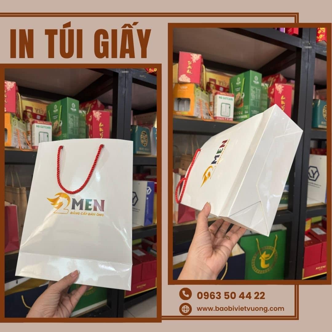 IN TÚI GIẤY CHO SHOP GIÁ TỐT 2024